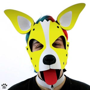 Yellow Benson Pup Hood