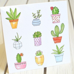 Suculenta, Tarjeta de felicitación con suculentas, Paquete de tarjetas en blanco, Tarjeta cuadrada, Interior en blanco