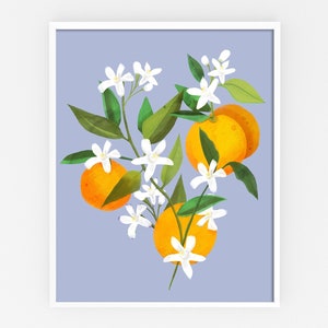 Citrus Tree Print - Oranges and Orange Blossoms - Framed Kitchen Art