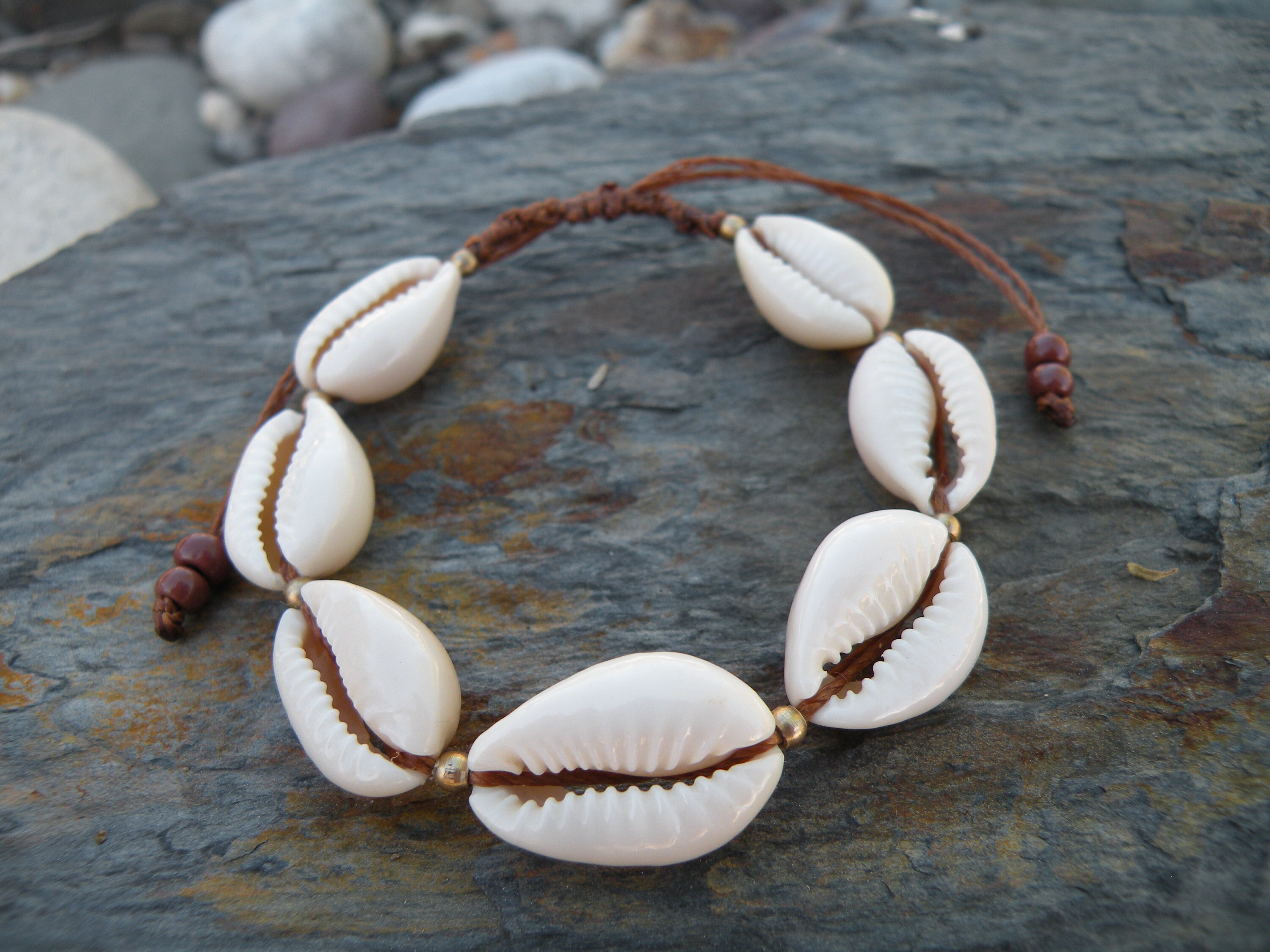 Cowrie Shell Macrame Bracelet Beaded Natural Sea Shell Beach | Etsy