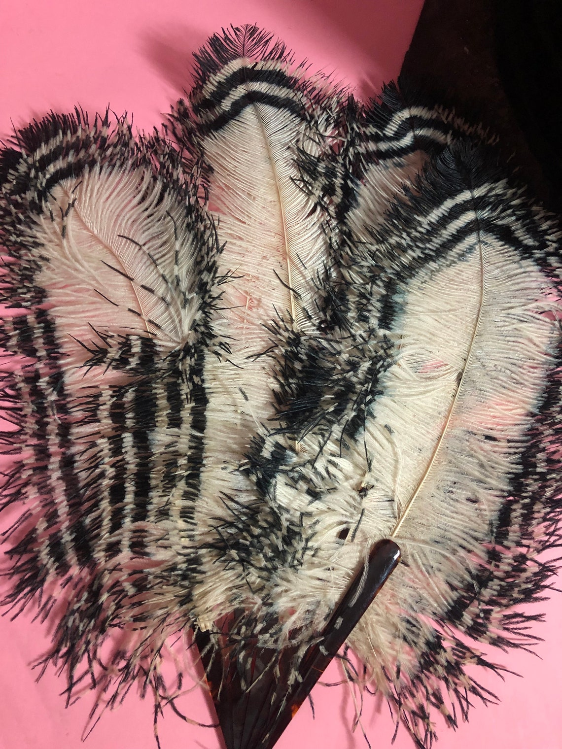 1920s Art Deco Ostrich Feather Folding Hand Fan White With - Etsy UK