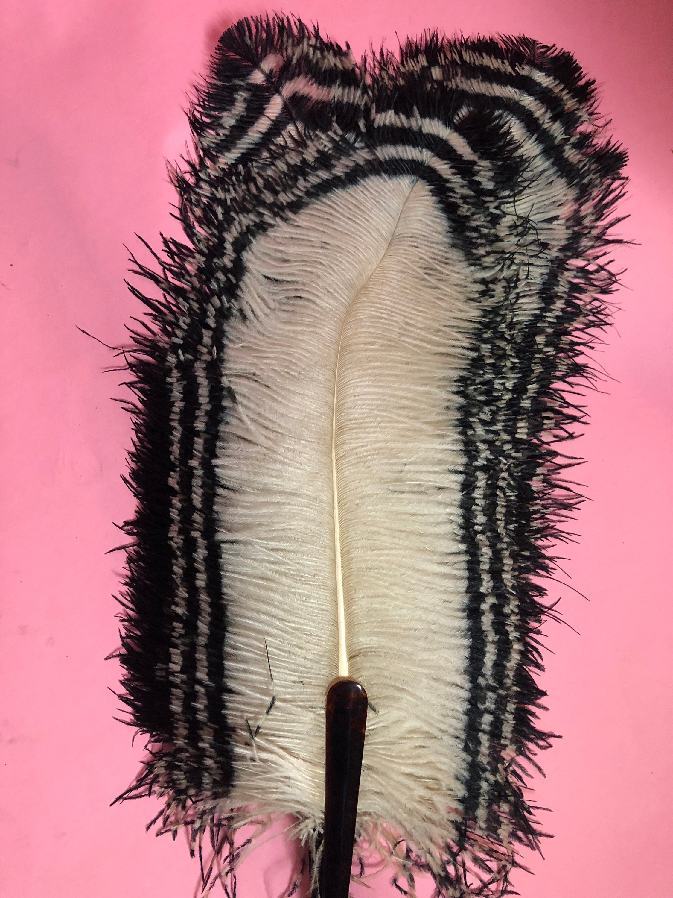 1920s Art Deco Ostrich Feather Folding Hand Fan White With - Etsy UK