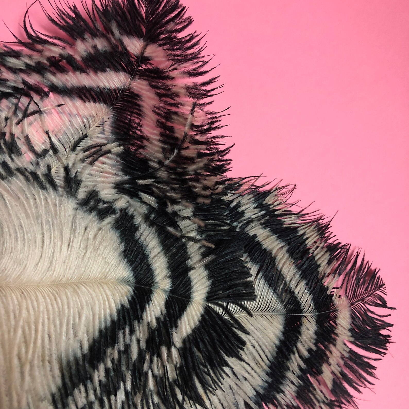 1920s Art Deco Ostrich Feather Folding Hand Fan White With - Etsy UK