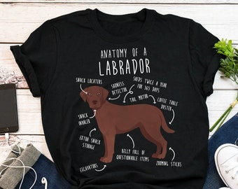Funny labrador t shirts new arrivals