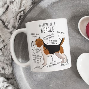 Beagle Coffee Mug, Cute Tri Color Beagle Gift, Dog Lover, Funny Gift for Her, Him, Birthday, Beagle Mom, Beagle Dad, Dog Anatomy Cup