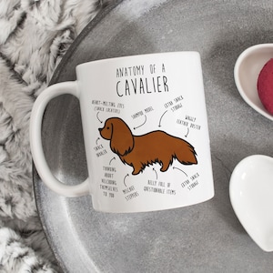 Cavalier King Charles Spaniel Coffee Mug, Cute Ruby Cav Gift, Dog Lover, Funny Gift for Her, Him, Pet Animal, Dog Mom, Dog Dad, Anatomy