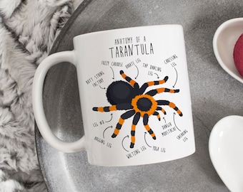 Tarantula Coffee Mug, Cute Spider Gift, Mexican Redknee Tarantula Lover, Funny Red Knee Tarantula Gifts, Arachnid Pet Spider Mom Dad
