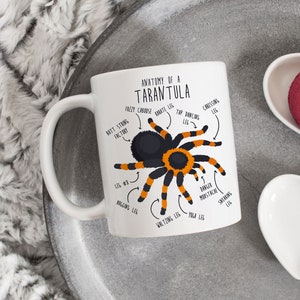 Tarantula Coffee Mug, Cute Spider Gift, Mexican Redknee Tarantula Lover, Funny Red Knee Tarantula Gifts, Arachnid Pet Spider Mom Dad