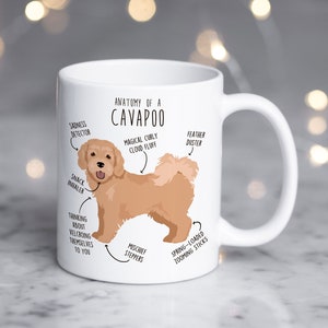 Könnte beinhalten: Eine weiße Keramiktasse mit einer Cartoon-Illustration eines Cavapoo-Hundes. Die Illustration ist mit humorvollen anatomischen Merkmalen beschriftet, wie z. B. "magischer lockiger Wolkenflaum" und "federbeladene Zoom-Sticks".
