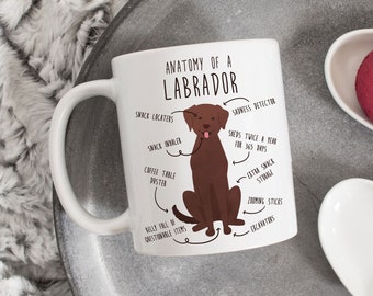 Chocolate Labrador Retriever Coffee Mug, Cute Lab Gift, Dog Lover, Funny Pet Gift for Her, Him, Birthday, Labrador Mom, Dad, Dog Anatomy