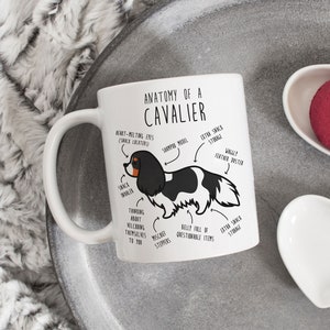 Cavalier King Charles Spaniel Coffee Mug, Cute Tri-Color Cav Gift, Dog Lover, Funny Gift for Her, Him, Pet Animal, Dog Mom, Dog Dad, Anatomy