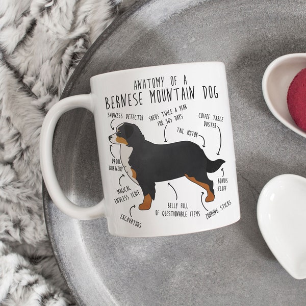 Mug à café bouvier bernois, joli cadeau bernois, amoureux des chiens, cadeau amusant pour elle, lui, anniversaire, papa maman bouvier bernois, anatomie