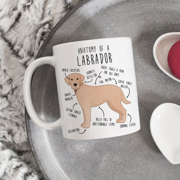 Yellow Labrador Retriever Coffee Mug, Cute Yellow Lab Gift, Dog Lover, Funny Pet Gift for Her, Him, Birthday, Labrador Mom, Dad, Dog Anatomy