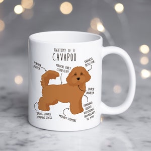 Puede incluir: Taza de cerámica blanca con una ilustración de un Cavapoo marrón y etiquetas anatómicas. El texto incluye "Anatomía de un Cavapoo", "Plumero", "Nube de rizos mágicos" y "Detector de tristeza".