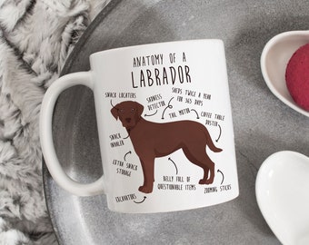 Chocolate Labrador Retriever Coffee Mug, Cute Lab Gift, Dog Lover, Funny Pet Gift for Her, Him, Birthday, Labrador Mom, Dad, Dog Anatomy