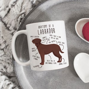 Chocolate Labrador Retriever Coffee Mug, Cute Lab Gift, Dog Lover, Funny Pet Gift for Her, Him, Birthday, Labrador Mom, Dad, Dog Anatomy