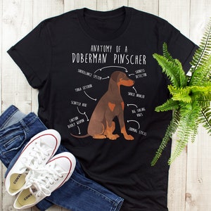 Doberman Shirt, Women Men, Funny Dog Lover Gift, Cute Doberman Pinscher T-shirt, Red Doberman Tshirt, Pet Tee, Dog Mom Dog Dad, Dog Anatomy