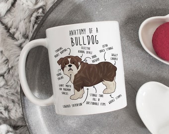 English Bulldog Coffee Mug, Cute Brindle Bulldog Gift, Dog Lover, Funny Gift for Her, Him, Bulldog Mom, Bulldog Dad, Dog Anatomy Cup
