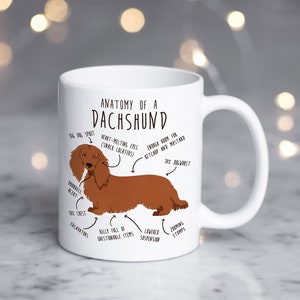 Red Longhaired Dachshund Coffee Mug, Cute Pet Brown Weiner Dog Gift, Sausage Dog Lover, Funny Gift for Her, Him, Dachshund Mom, Doxie Dad