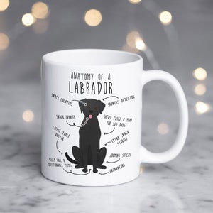 Black Labrador Retriever Coffee Mug, Cute Black Lab Gift, Dog Lover, Funny Pet Gift for Her, Him, Birthday, Labrador Mom, Dad, Dog Anatomy