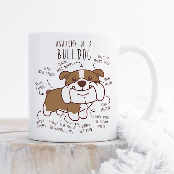 English Bulldog Coffee Mug, Cute Chocolate and White Bulldog Gift, Dog Lover, Funny Gift for Her, Him, Bulldog Mom, Bulldog Dad, Anatomy Cup