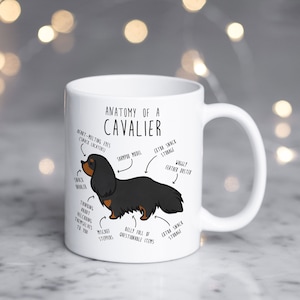 Cavalier King Charles Spaniel Coffee Mug, Cute Black Tan Cav Gift, Dog Lover, Funny Gift for Her, Him, Pet Animal, Dog Mom, Dog Dad, Anatomy