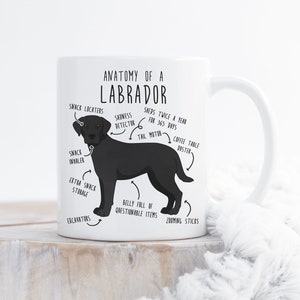 Black Labrador Retriever Coffee Mug, Cute Black Lab Gift, Dog Lover, Funny Pet Gift for Her, Him, Birthday, Labrador Mom, Dad, Dog Anatomy