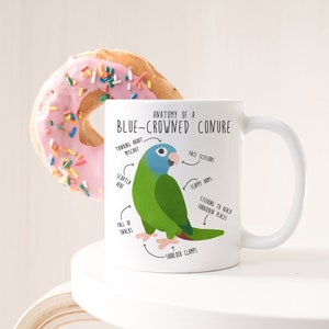 Green Cheek Conure Coffee Mug, Cute Pet Parrot Gift, Bird Lover, Funny Gift for Her, Him, Greencheek Cup, Green Cheeked, Bird Anatomy