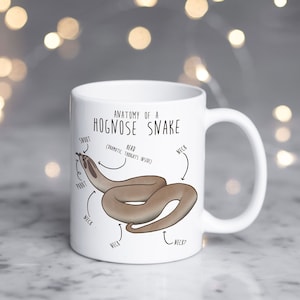 Puede incluir: Taza de cerámica blanca con una ilustración de serpiente hognose marrón de dibujos animados y el texto "Anatomía de una serpiente hognose" con etiquetas anatómicas.