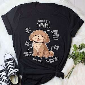 Cavapoo Shirt, Women, Men, Funny Tan Cavapoo Dog Lover Gift, Cute Cavoodle T-shirt, Doodle Poodle Mix Cross Tshirt, Pet Tee, Cavapoo Mom Dad