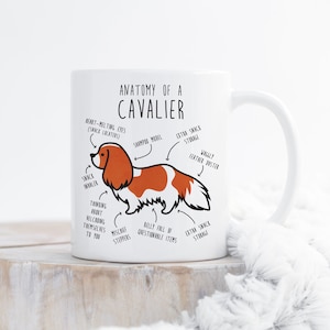 Cavalier King Charles Spaniel Coffee Mug, Cute Blenheim Cav Gift, Dog Lover, Funny Gift for Her, Him, Pet Animal, Dog Mom, Dog Dad, Anatomy