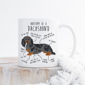 Dapple Longhaired Dachshund Coffee Mug, Cute Pet Blue Merle Weiner Dog Gift, Sausage Dog Lover, Funny Dachshund Mom, Doxie Dad