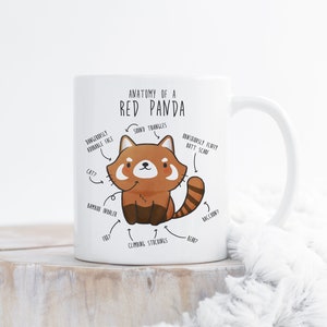 Roter Panda Kaffeetasse, süßes Panda Geschenk, Wildtier-Liebhaber, lustige Wildtier-Geschenke für Sie, Ihn Geburtstag, Natur, Zoowärter, Zoologe, Anatomie