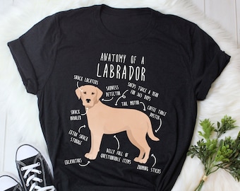 Funny labrador t shirts new arrivals