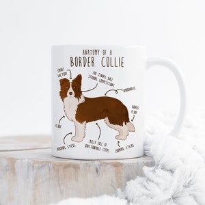 May include: White ceramic mug featuring a brown and white border collie illustration. The mug has the text "Anatomy of a Border Collie" and humorous descriptions of the dog's body parts, such as "Smart Factory", "Belly Full of Questionable Items", and "Floof".