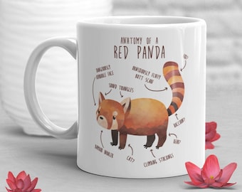 Red Panda Coffee Mug, Cute Panda Gift, Wild Animal Lover, Funny Wildlife Gifts for Her, Him Birthday, Nature, Zoo Keeper, Zoologist, Anatomy