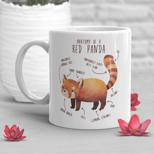 Red Panda Coffee Mug, Cute Panda Gift, Wild Animal Lover, Funny Wildlife Gifts for Her, Him Birthday, Nature, Zoo Keeper, Zoologist, Anatomy
