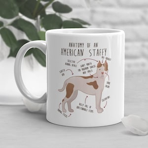 American Staffordshire Terrier Coffee Mug, Cute Amstaff Gift, Staffy Dog Lover, Funny Gift for Her Him, Pet Animal, Dog Mom Dog Dad, Anatomy