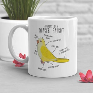 May include: White ceramic mug with a yellow Quaker parrot illustration and the text "Anatomy of a Quaker Parrot". The illustration shows the parrot's body parts labeled with humorous names like "Thinking about mischief", "Scratch here", "Steering to get to forbidden places", and "Fluffy pantaloons".