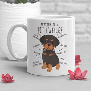 Rottweiler Coffee Mug, Cute Rotty Gift, Dog Lover, Funny Gift for Her, Him, Pet Animal, Dog Mom, Dog Dad, Rottweiler Anatomy, Rotty Dog