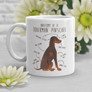 Doberman Coffee Mug, Cute Doberman Gift, Dog Lover, Funny Gift for Her, Him, Pet Animal, Dog Mom, Dog Dad, Red Doberman Rust Tan, Anatomy