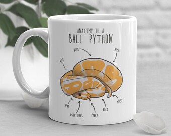 Albino Ball Python Kaffeetasse, niedliches Schlangen-Liebhaber Geschenk, lustiges Reptil Becher, Geschenk für ihn, sie, Geburtstagstasse, Anatomie, Schlangenmutter, Schlangenpapa