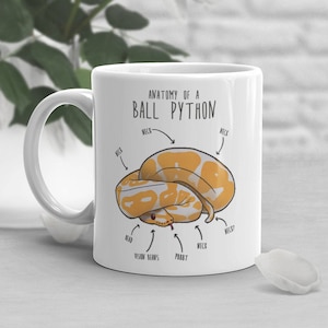 Könnte beinhalten: Weiße Keramiktasse mit schwarzem Rand und dem Text "Anatomy of a Ball Python" mit einer Cartoon-Illustration einer Königspython mit Beschriftungen für Kopf, Hals, Sehstrahlen und Rüssel.