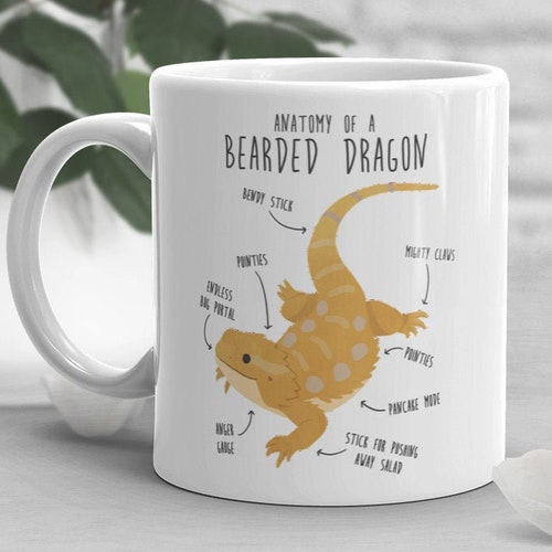 Reptile Coffee Mug Cute Lizard Gift Snake Lover Funny Etsy