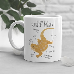 Bearded Dragon Coffee Mug, Cute Reptile Gift, Bearded Dragon Lover, Funny Lizard Cup, Gift for Him, Her, Housewarming, Birthday, Anatomy
