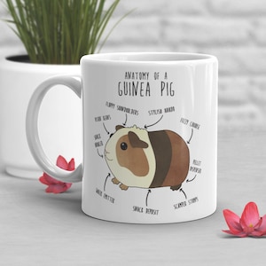 May include: White ceramic mug featuring a cartoon guinea pig illustration with the text "Anatomy of a Guinea Pig". The guinea pig has brown and white fur and is labelled with humorous anatomical features such as "Floppy Soundholders", "Stylish Hairdo", "Snack Snatcher", "Wee-k Emitter", "Snack Deposit", "Scamper Stumps", "Fuzzy Cause", and "Pellet Dispenser".