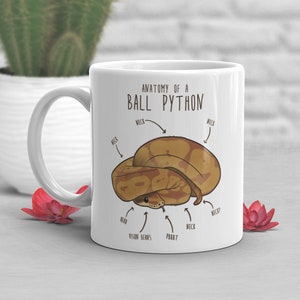 Caramel Ball Python Coffee Mug, Cute Snake Lover Gift, Funny Reptile Mug, Gift for Him, Her, Birthday Cup, Anatomy, Snake Mom, Snake Dad