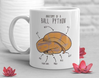 Mug python boule banane, cadeau mignon pour amoureux des serpents, tasse reptile drôle, cadeau pour lui, elle, tasse d'anniversaire, anatomie, maman serpent, papa serpent