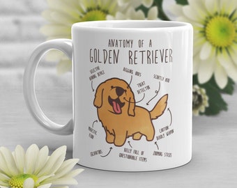 Golden Retriever Coffee Mug, Cute Golden Retriver Gift, Dog Lover, Funny Pet Gift for Her, Him, Golden Retriever Mom Dad, Anatomy Doggo Meme