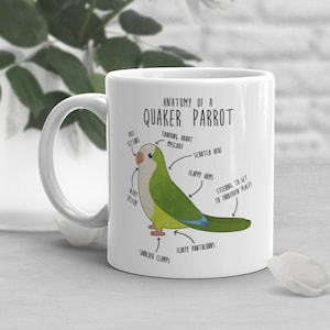 Grüne Quäker Kaffeetasse, niedliches Vogel Geschenk, Haustier-Liebhaber, lustiges Geschenk für Sie, Ihn, Einweihungsparty, Geburtstag, Mönch Papagei Anatomie Tasse, Vogel Mama Papa